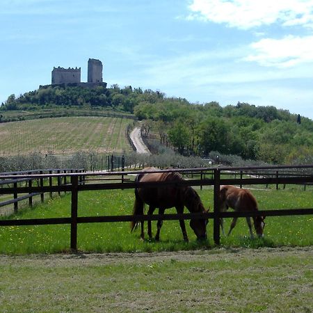Sporting Hotel San Felice Illasi Екстер'єр фото